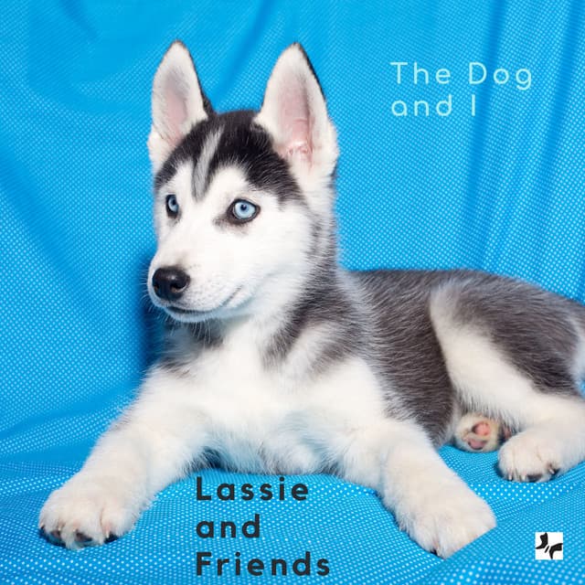 The Dog and I - Lassie and friends