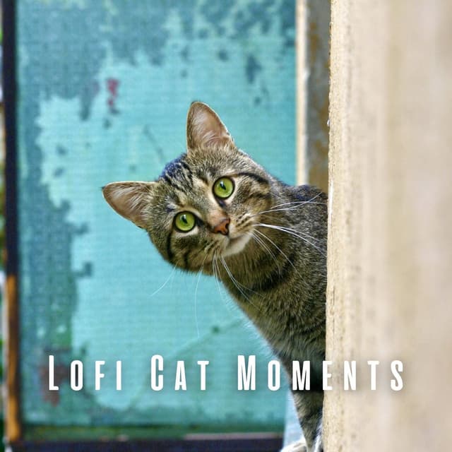 Lofi Cat Moments: Soothing Cats with Chill Music - Smoothe Sounds