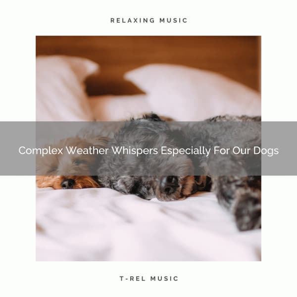 Complex Weather Whispers Especially For Our Dogs - Dog Total Relax