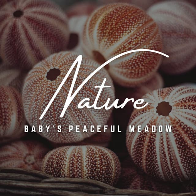 Baby's Peaceful Meadow: Tranquil Sounds - Pregnancy and Birthing Specialists