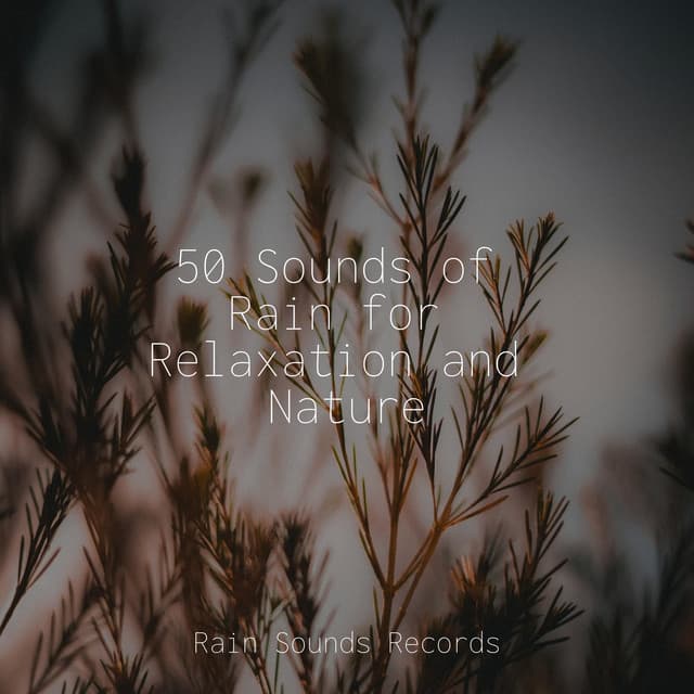 50 Sounds of Rain for Relaxation and Nature - Ocean Waves For Sleep