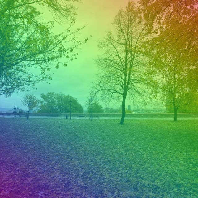 Bgm for My Moments - Fine Dining Music