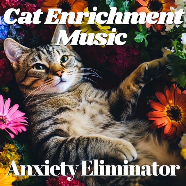 Cat Enrichment Music - Anxiety Eliminator - RelaxMyCat