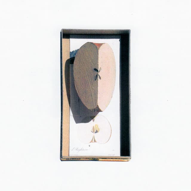 La Jungle du Douanier Rousseau - François Tusques