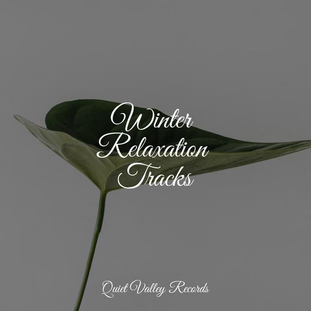 Winter Relaxation Tracks - Baby Sleep Music