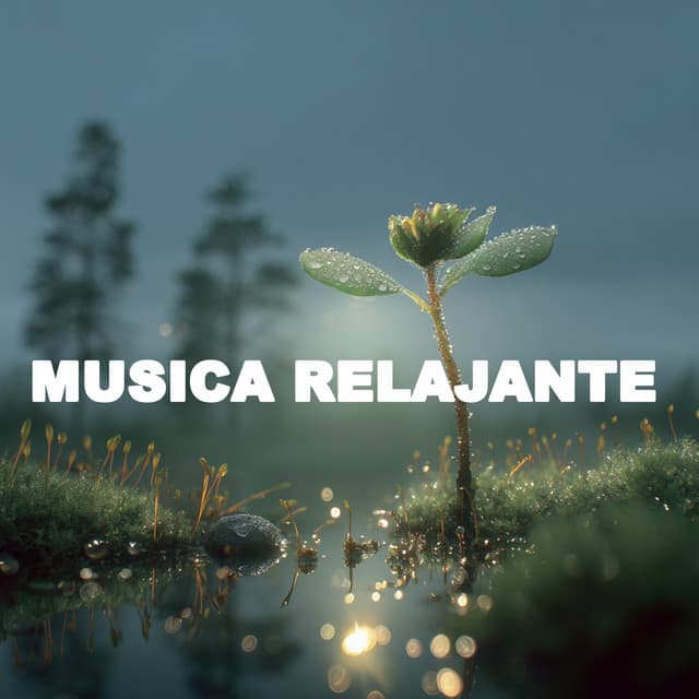 ! El Mejor Momento para Calmarse2 - Música Relajante