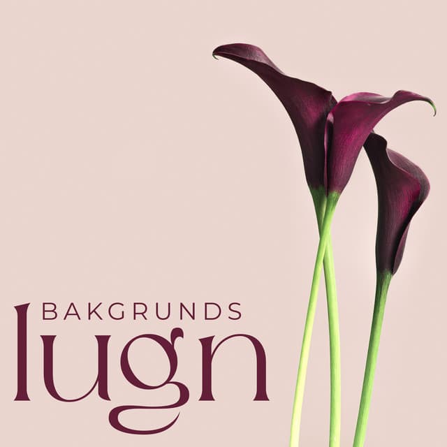 Bakgrunds lugn: Avkopplande spamusik, Lugnande massage, Harmoni för kropp och själ - Lugn Spa Akademi