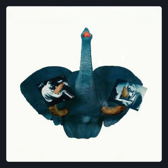 The Ivory Hunters. Double Barrelled Piano - Bill Evans