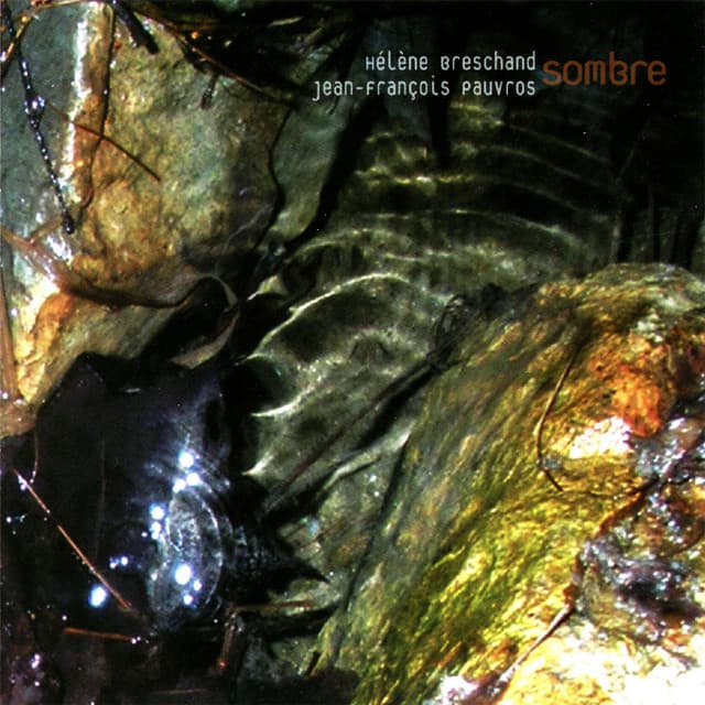 Sombre - Hélène Breschand