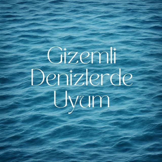 Gizemli Denizlerde Uyum - Anghashi