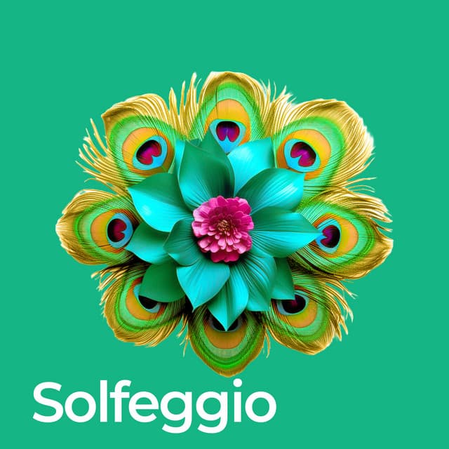 Complete 9 Solfeggio Frequencies - Zen Spa Music Experts