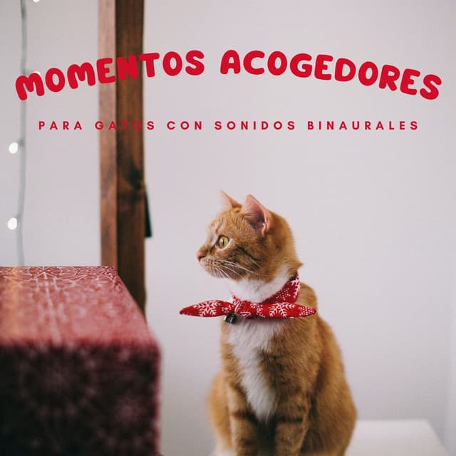 Momentos Acogedores Para Gatos Con Sonidos Binaurales - Movimientos Binaurales