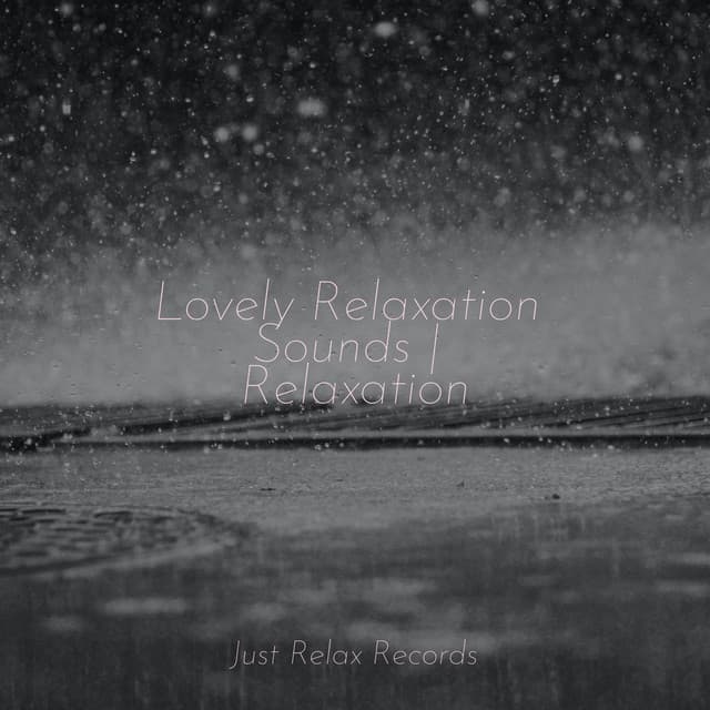 Lovely Relaxation Sounds | Relaxation - Dog Music