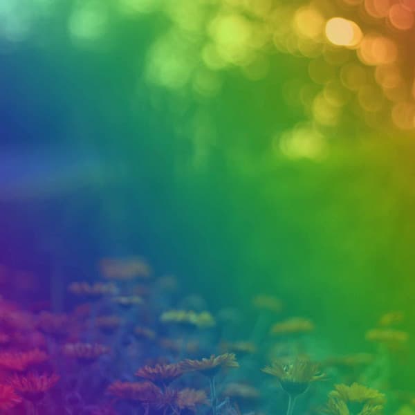 Background Music for Team Choices - Lofi Matt