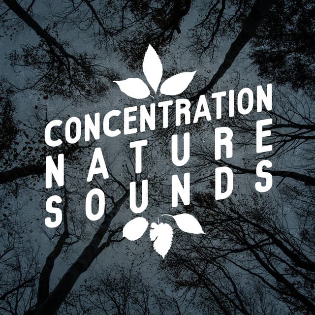 Concentration Nature Sounds - Deep Sleep Relaxation