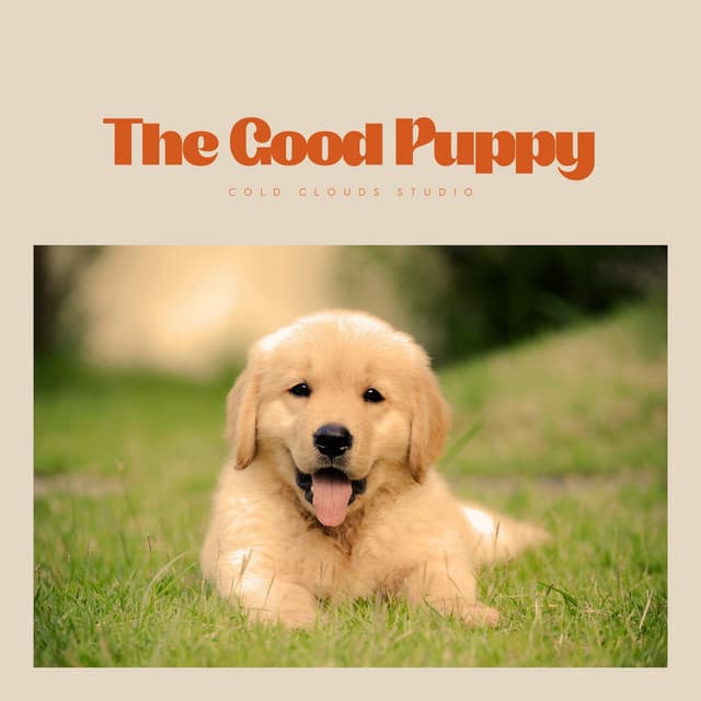 The Good Puppy - RW Sleeping Puppy