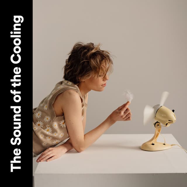The Sound of the Cooling - Fan Noises for Sleep