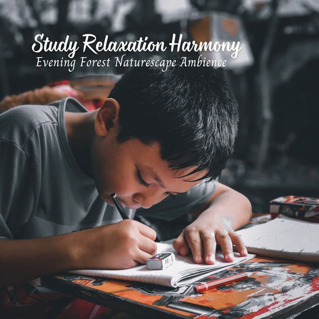Study Relaxation Harmony: Evening Forest Naturescape Ambience - Sounds of the Forest