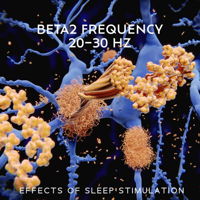 Beta2 Frequency : Effects of Sleep Stimulation, Oscillation in Nonsynaptic Networks of Somatosensory Cortex - Binaural Healing