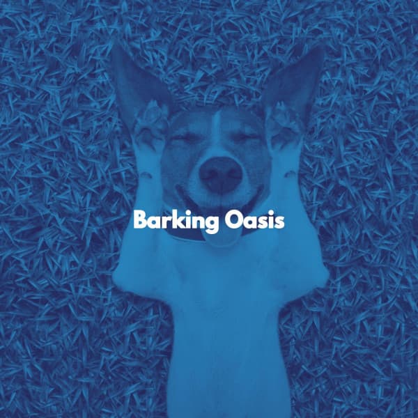 Barking Oasis - Soft Background Jazz