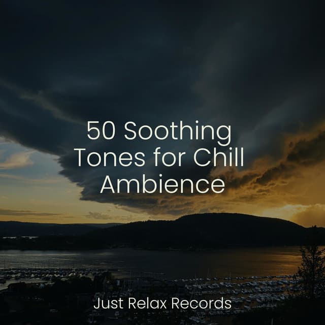 50 Soothing Tones for Chill Ambience - Sleep Baby Sleep