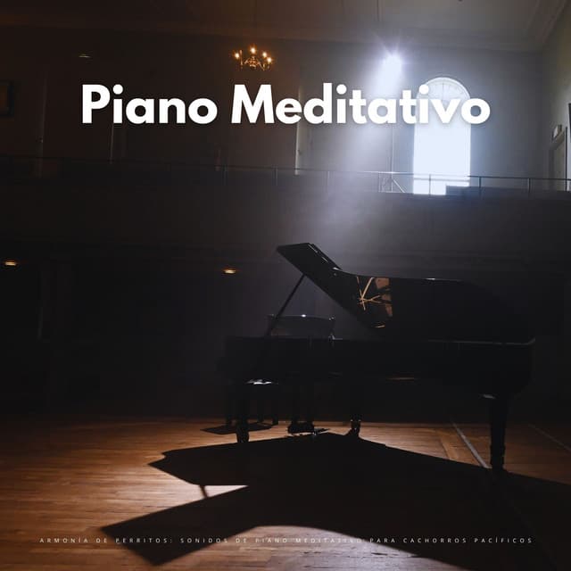 Armonía De Perritos: Sonidos De Piano Meditativo Para Cachorros Pacíficos - Musicas de Piano Masters