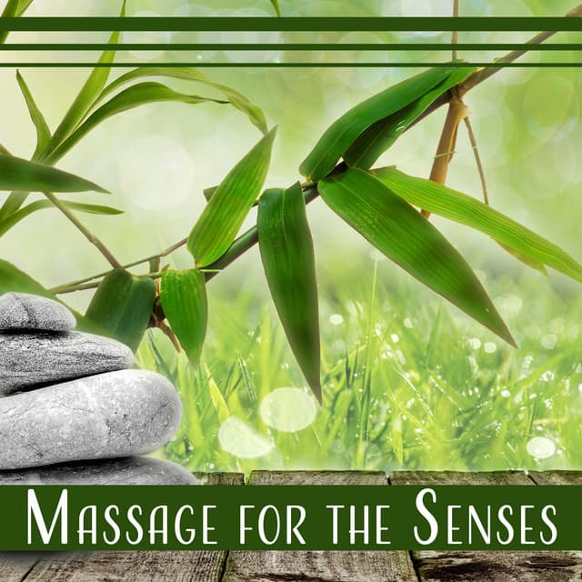 Massage for the Senses - Massage Wellness Moment