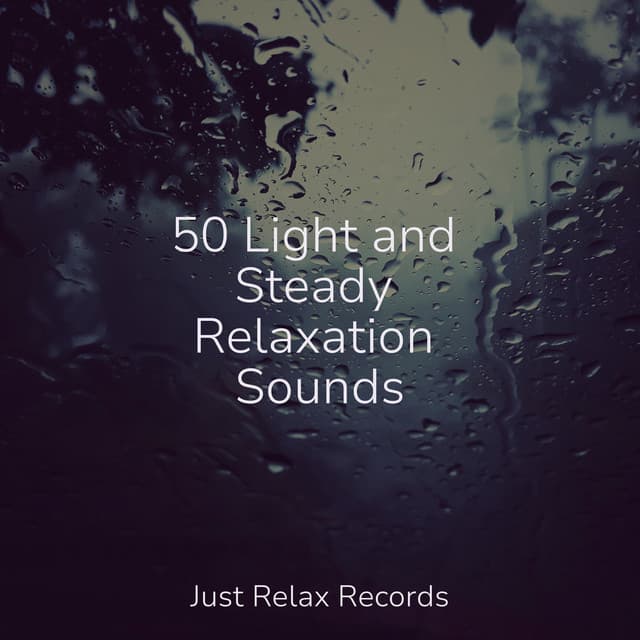 50 Light and Steady Relaxation Sounds - Chinese Relaxation and Meditation