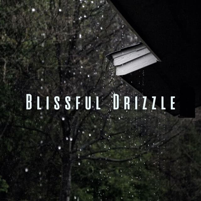 Blissful Drizzle: White Noise and Rain for Spa Indulgence - Heavy Rain Sounds