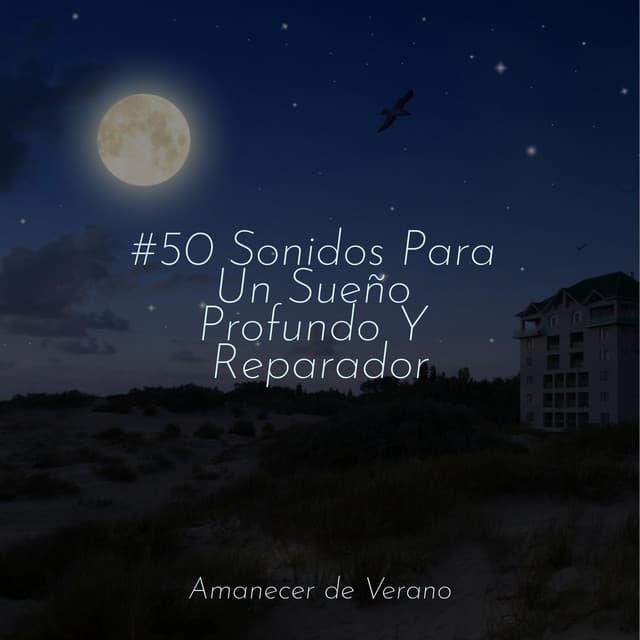 #50 Sonidos Para Un Sueño Profundo Y Reparador - Música Para Meditar y Relajarse