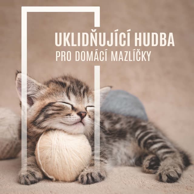 Uklidňující Hudba pro Domácí Mazlíčky - Relaxační Zvuky