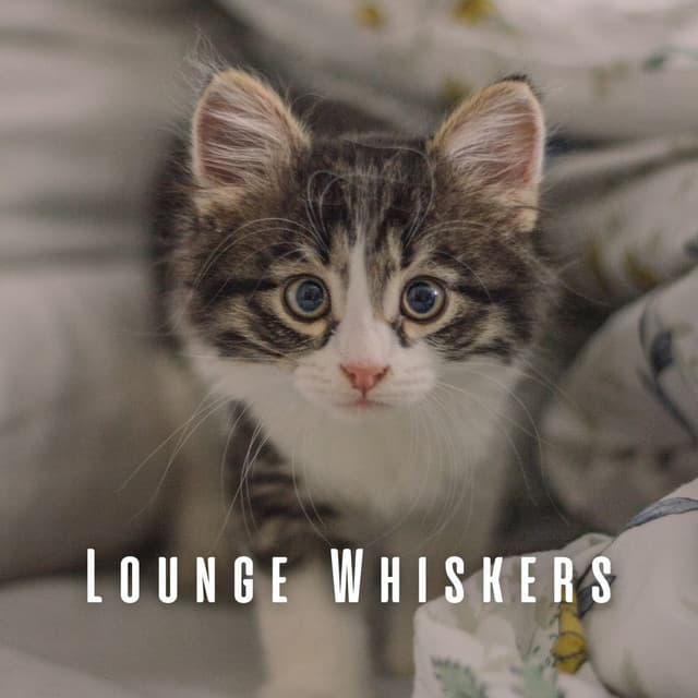 Lounge Whiskers: Relaxing Coffee Shop Jazz Tunes for Cats - Soft Cafe Lounge