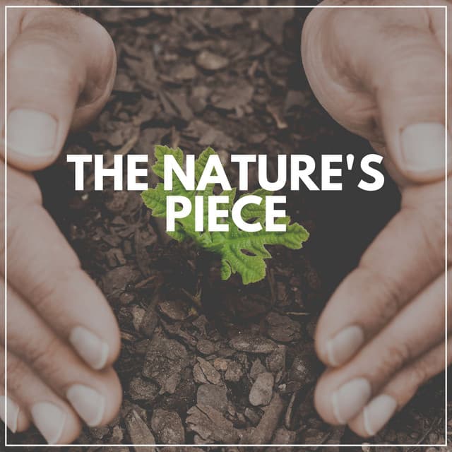The Nature's Piece - Forest Soundscapes