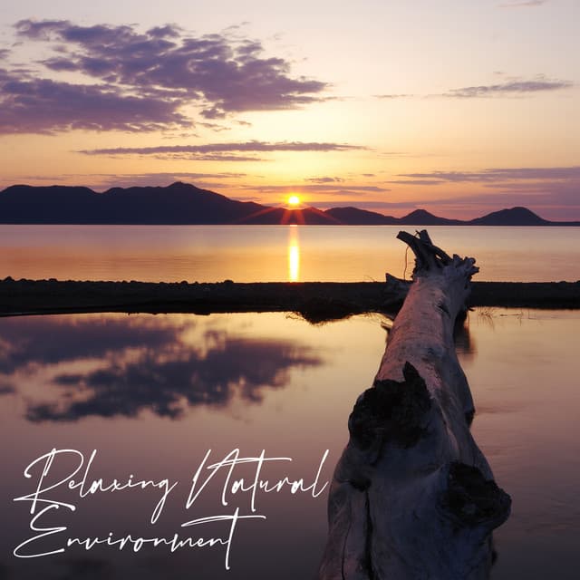 Relaxing Natural Environment: For Your Mind, Body and Soul - Relieving Stress Music Collection