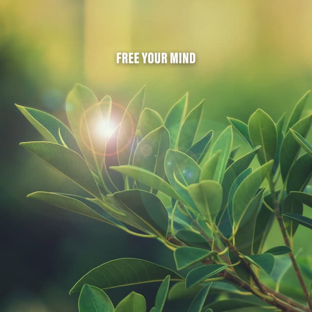 Free Your Mind - Sleep Music