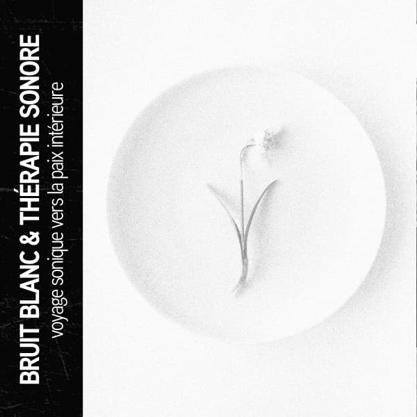 Bruit blanc et thérapie par le son : voyage sonique vers la paix intérieure - Ruido Blanco Hart