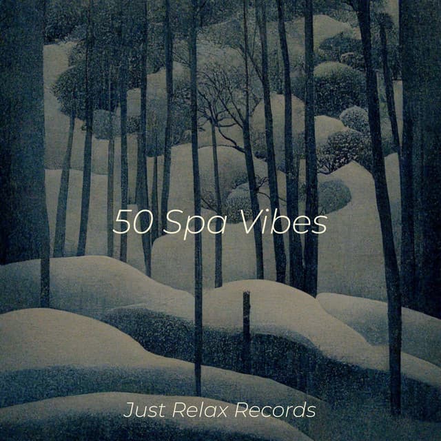 50 Spa Vibes - Pro Sound Effects Library
