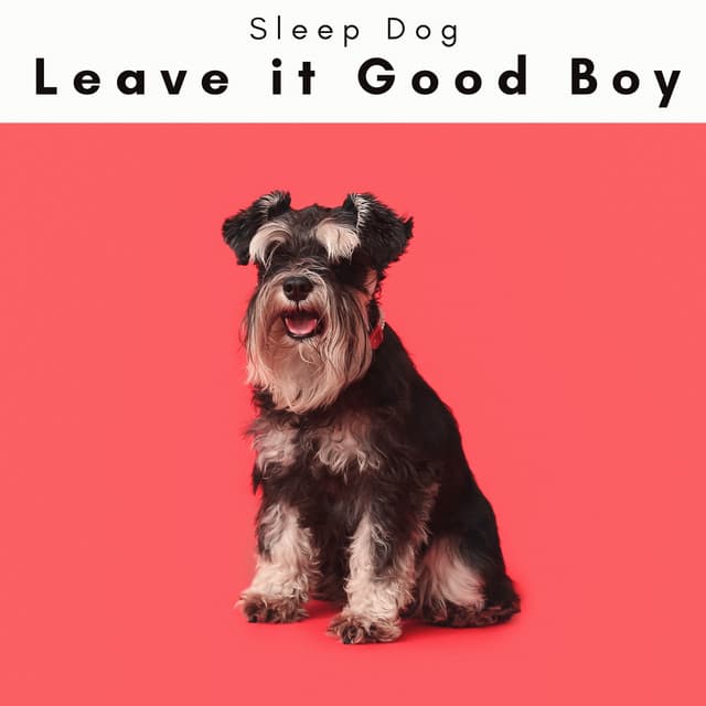 4 Paws: Leave it Good Boy - Sleep Dog