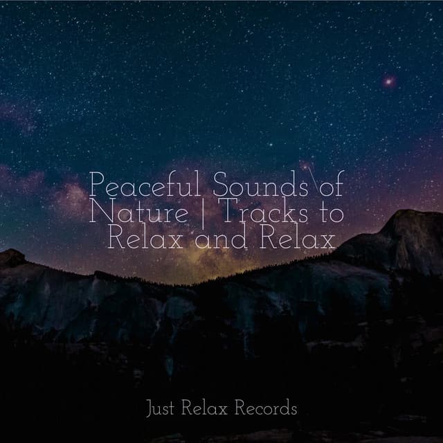 Peaceful Sounds of Nature | Tracks to Relax and Relax - Rest & Relax Nature Sounds Artists