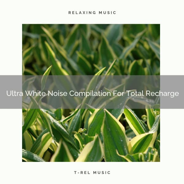 Ultra White Noise Compilation For Total Recharge - Baby Rain Sleep Sounds