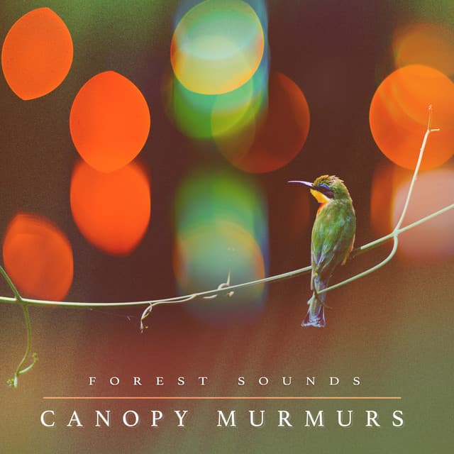 Canopy Murmurs - Forest Sounds