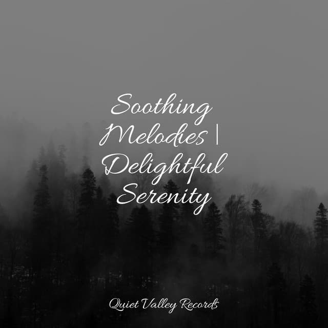 Soothing Melodies | Delightful Serenity - Rain