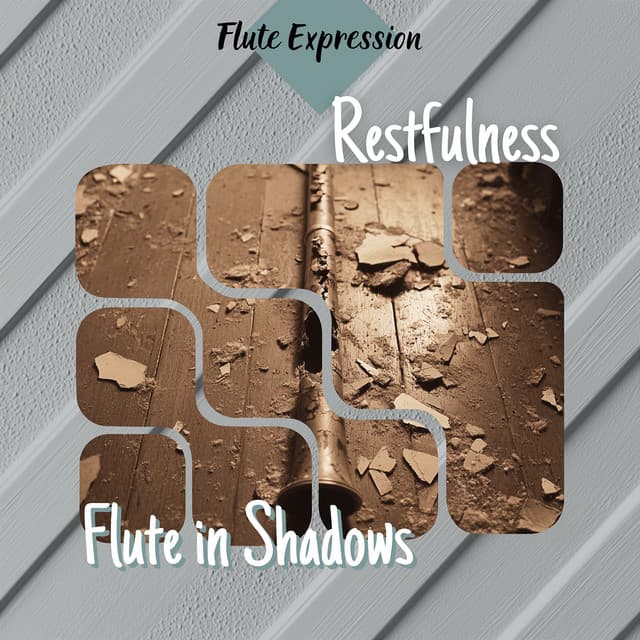 Restfulness - Flute in Shadows - Flute Expression