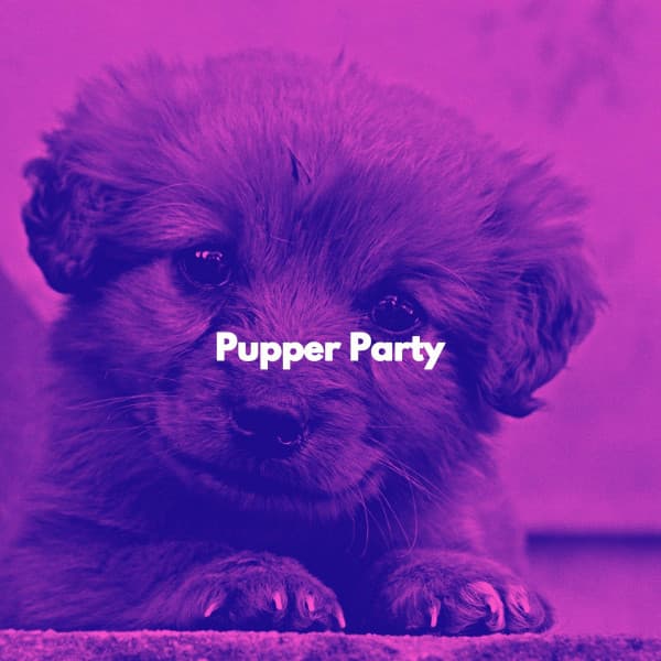 Pupper Party - Cafe Jazz BGM
