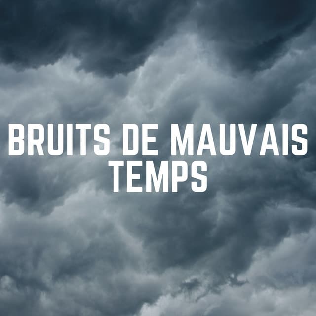 Bruits de Mauvais Temps - Orage HD