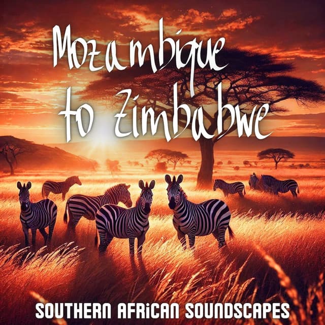 Mozambique to Zimbabwe: Southern African Soundscapes, Exotic Relaxing Music - African Music Drums Collection