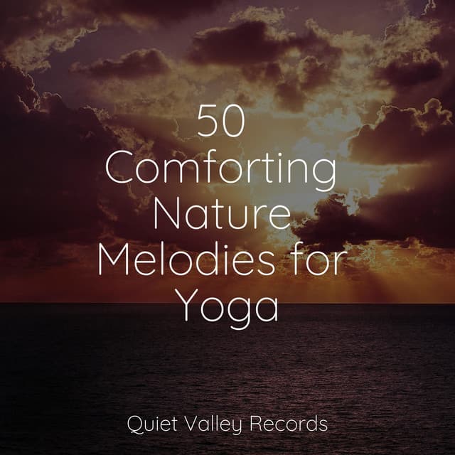 50 Comforting Nature Melodies for Yoga - Loopable Rain