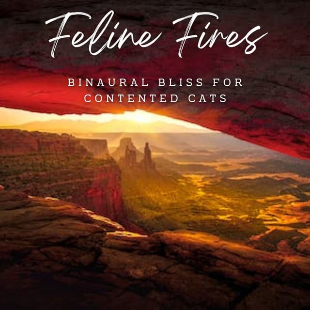 Ambient Feline Fires: Binaural Bliss for Contented Cats - Binaural Collective