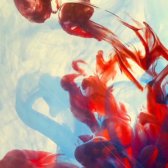 The Music You Need - Paul Chambers