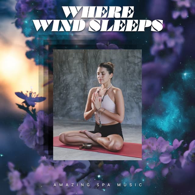 Where Wind Sleeps - Amazing Spa Music